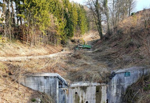 Am Montag beginnen die Pflegearbeiten im Bludenzer Galgentobel.