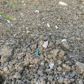 Schon wieder Plastikmüll im Ried