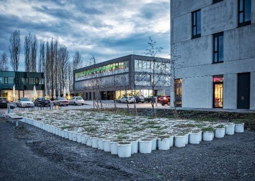 Das Projekt „Mobiler Garten“ von Lois und Franziska Weinberger ist in Kooperation mit dem Kunsthaus Bregenz entstanden und bleibt im Millennium Park in Lustenau.  kub/Hämmerle