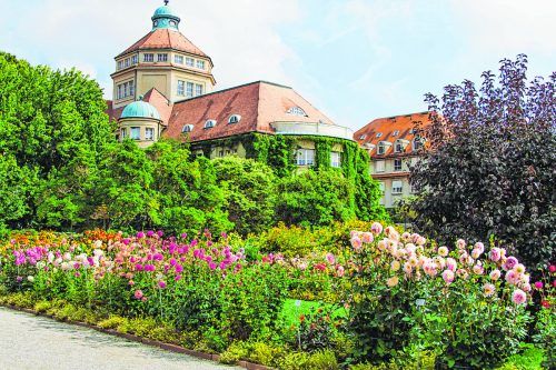 Der Palmengarten feiert derzeit sein 150. Jubiläum. Shutterstock