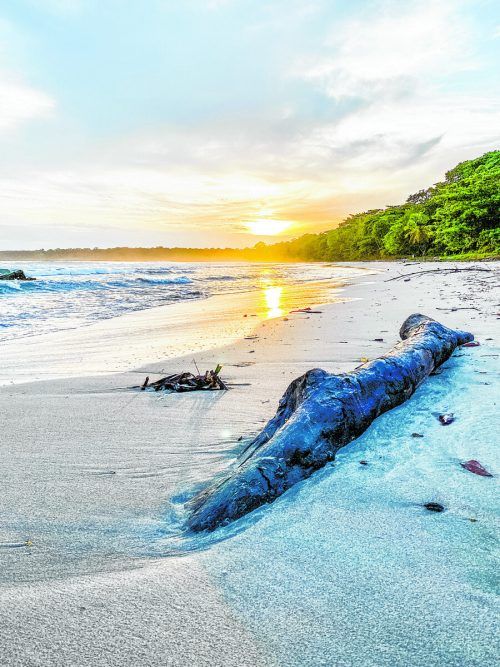 Der Playa Blanca grenzt direkt an den Cahuita Nationalpark und ist einer der wenigen weißen Sandstrände der Gegend. Beate Rhomberg (4)