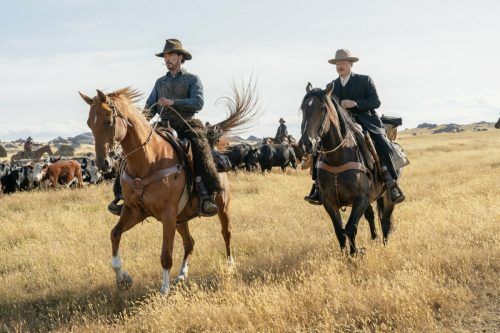 Der Western „The Power of the Dog“ hat bereits bei den Golden Globes drei Trophäen abgeräumt.  NETFLIX