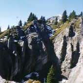 Land repariert Gipslöcher-Verordnung