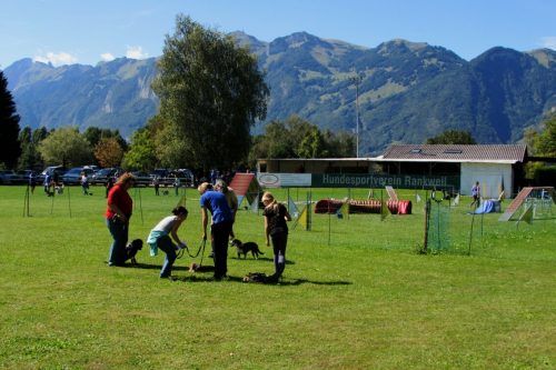 Die Hundeschule HSV Rankweil startet Anfang März mit einem neuen Kurs.  HSV Rankweil