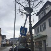 Pferdegespann ging mit Hochzeitskutsche durch