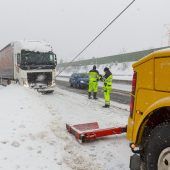 Lkw walzt im Schneetreiben Baum um