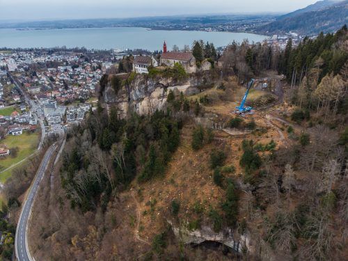 Dort, wo derzeit ein großes Loch klafft, soll die Naturverjüngung bald für neuen Wald sorgen. VN/Steurer
