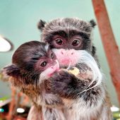 Richtig lecker