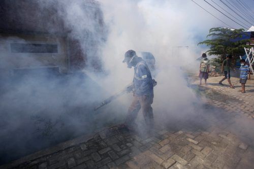 Im Kampf gegen Dengue-Fieber versprühen Arbeiter in Medan, Nord-Sumatra, Anti-Moskito-Spray. AP