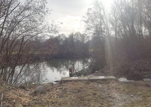In der Naturzelle Sauwinkel in Altach entsteht in den kommenden Wochen eine neue Aussichtsplattform. Mäser