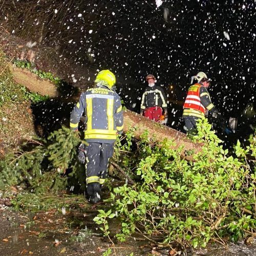 In Wolfurt musste ein zerborstenes Fenster entfernt werden, drei Bäume verlegten die Meschacherstraße.  Fw Götzis, Wolfurt