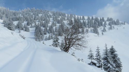 Richtung Alpe Gamp in Nenzing. Lukas amann