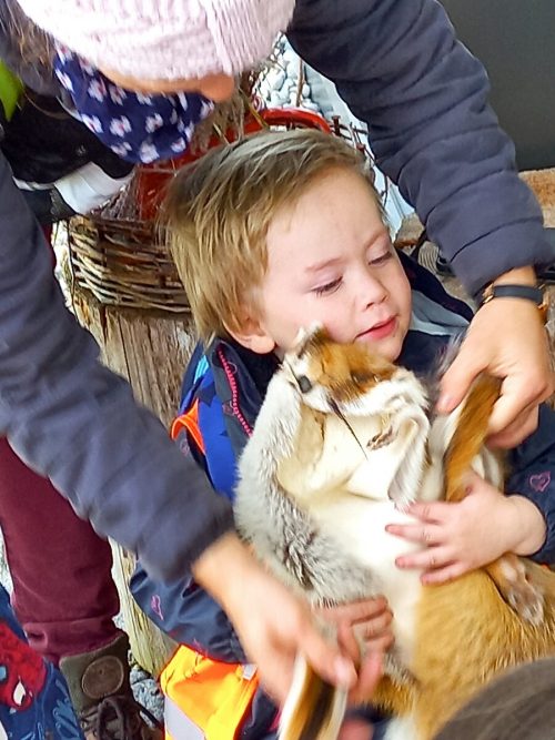 So fühlt sich ein Fuchsfell an. Das ist Noah aber noch nicht ganz geheuer.