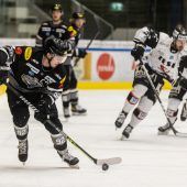 Bulldogs als Zünglein an der Waage