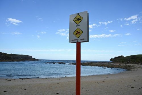 Vergangene Woche wurde ein Schwimmer von einem Hai tödlich verletzt.  AFP