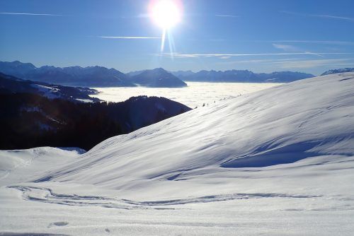 Winterwanderung auf die Kugelalpe in Fraxern. Uschi Österle