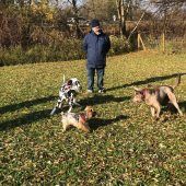 Hundewiese wieder offen