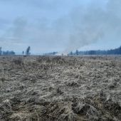 Brand in Allentsteig unter Kontrolle