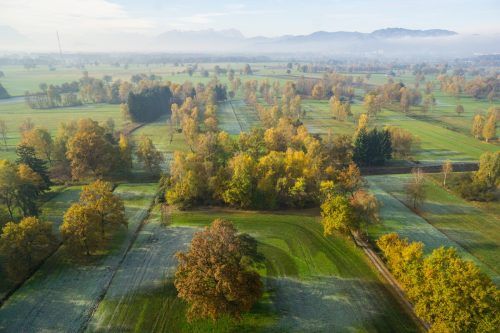CP-Variante, Z-Variante oder ganz was anderes: Das Lustenauer Ried beschäftigt die Verkehrsplaner. VN/Hartinger