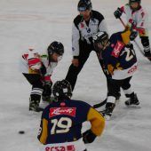 Starke Rheintal Bulldogs