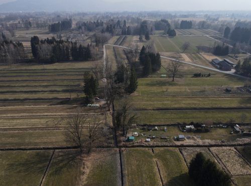 Der genaue Fundort der Leiche des mutmaßlichen Mordopfers in einer Parzelle an der Hofsteigstraße in Richtung Lustenau-Dorf.