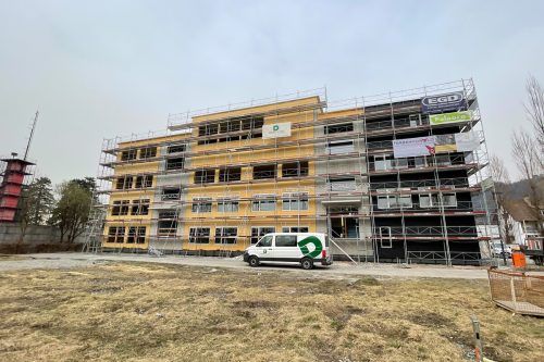 Der Holzsystembau ermöglicht eine schnelle und kosteneffiziente Bauführung. lcf (4)