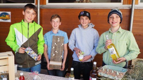 Die Bauernhof Jungs Schnifs/Übersaxen: Raphael, Lukas, Heiko und Julian. CEG