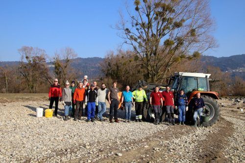 Die engagierten freiwilligen Helfer waren beim Hörbranzer Ufer im Einsatz.  chf/3