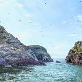 Paracas und die Isla Ballestas