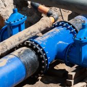 Besseres Trinkwasser für Bings