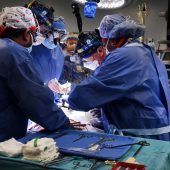 Erster Transplantationspatient mit Schweineherz gestorben