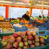 Krebs lässt sich nicht aushungern