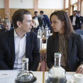 Beinschab hat Kronzeugenstatus