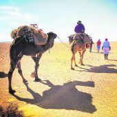 Wanderungen durch die Wüste