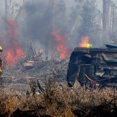 Mehrere Waldbrände in Florida ausgebrochen