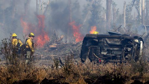 Durch die Trockenheit in Florida sind heftige Waldbrände ausgebrochen.  ap