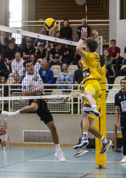 Erstmals seit 2003 konnten sich die Herren des Raiffeisen VC Wolfurt für die Aufstiegsrunde qualifizieren und empfangen am Wochenende die hotVolleys Wien. Paulitsch