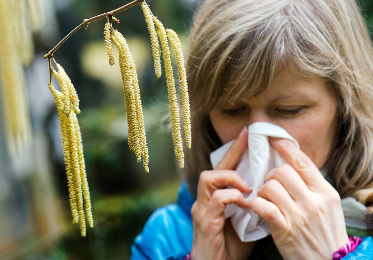 Allergikern sind kaum noch Verschnaufpausen gegönnt, außer bei Regen, der wäscht die Pollen aus der Luft.⇒APA/Burgi