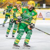Fünftes Spiel entscheidet