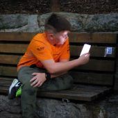 17 virtuelle Nester in Schlins
