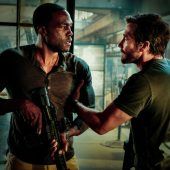 Film ab Neu im Kino