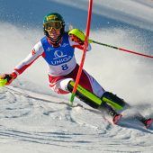 Liensberger wedelte zu Gold