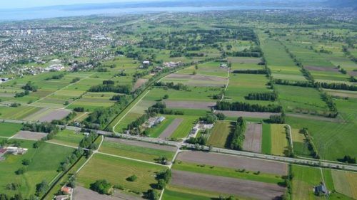 Lustenauer Ried: Ein Grundstücksbesitzer fand am Samstag bei einem Entwässerungsgraben den leblosen Körper einer Frau. Gemeinde Lustenau