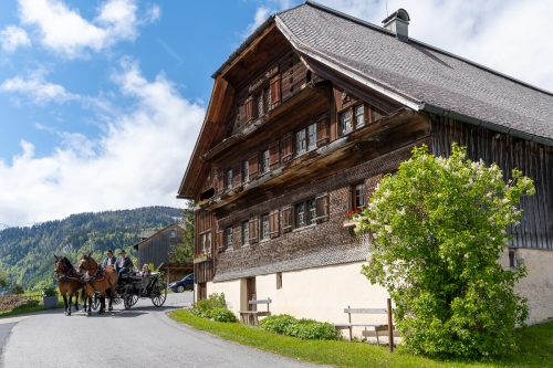 Neue Ausstellung im Angelika-Kauffmann-Museum. g. Metzler