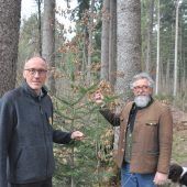Heißes Eisen: Klimafitte Wälder und Wild