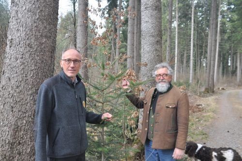 Obmann Mag. Walter Amann und Forstwirt Nikolaus A.Urban sind sich einig: nur ein gesunder Wald garantiert ein Überleben. HAB