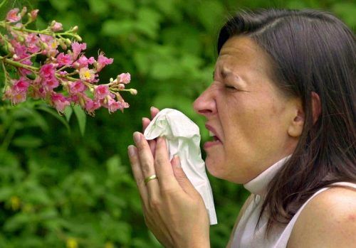 Wer auf Blütenpollen allergisch reagiert, muss sich in diesem Jahr vermutlich warm anziehen. So prognostizieren es zumindest die Fachleute.  DPA