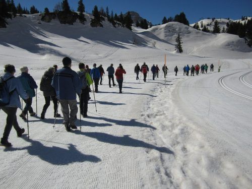 50 Seniorinnen und Senioren des Bregenzerwaldes tarfen sich zur traditionellen Winterwanderung. Seniorenbund Bregenzerwald