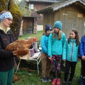Ein Besuch auf dem Bauernhof: Von Steinschafen, Hühnern und Kühen