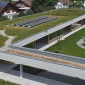 Biodiversität in Stadtnatur